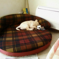 Photo #111961 de Yumi