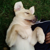 Photo #111973 de Yumi