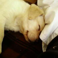 Photo #111979 de Yumi