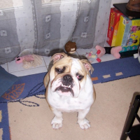 Photo #112345 de D'joy