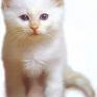 Photo #112735 de Sally
