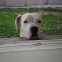 Photo #113113 de Cirka