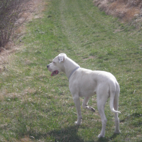 Photo #113119 de Cirka