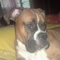 Photo #113287 de Derreck