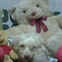 Photo #113677 de Minnie