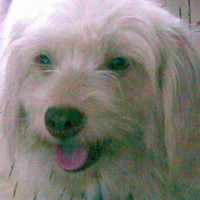 Photo #113683 de Minnie