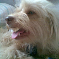 Photo #113719 de Minnie