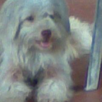 Photo #113725 de Minnie