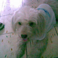Photo #113731 de Minnie