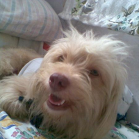Photo #113737 de Minnie