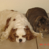 14_avril_003