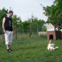 Photo #114457 de Dirt