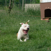 Photo #114463 de Dirt