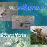 Photo #114571 de Criska