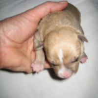 Photo #114583 de Criska