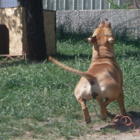 Photo #114589 de Criska