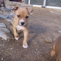 Photo #114595 de Criska
