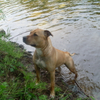 Photo #114601 de Criska
