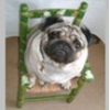 titou