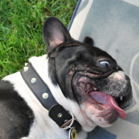 Photo #115813 de Hector