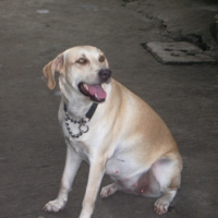 IMGP0362