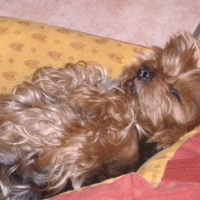Photo #116125 de Edouard