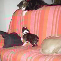 DSCF3566