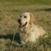 DSCF4018