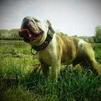 Churchill3