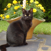Photo #118525 de Minette