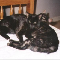 Photo #118645 de Moumousse (1er)