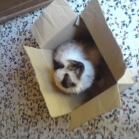 Photo #119209 de Nours