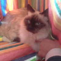 Photo #119215 de Nours