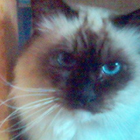 Photo #119221 de Nours