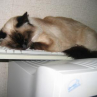 Photo #119227 de Nours