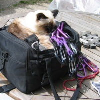 Photo #119233 de Nours