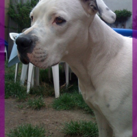 Photo #119371 de Cirka
