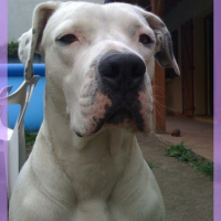 Photo #119377 de Cirka