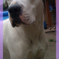 Photo #119383 de Cirka