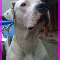 Photo #119389 de Cirka