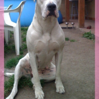 Photo #119395 de Cirka