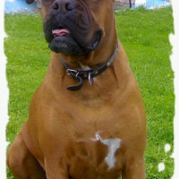 Photo #119527 de Ripsie