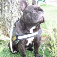 Photo #119689 de Tooky tempo