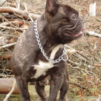 Photo #119695 de Tooky tempo