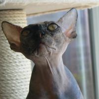 Photo #119821 de Maya