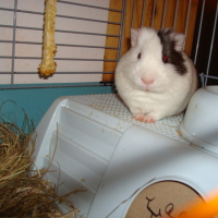 Photo #119983 de Jim