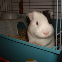 Photo #119995 de Jim