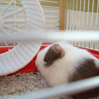 Photo #120001 de Jim