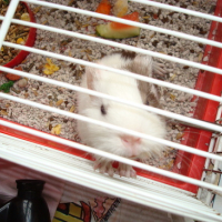 Photo #120007 de Jim