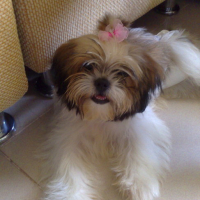 Photo #120169 de Precious